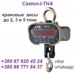  ()   Caston-I-THA (.)  2, 3, 5: