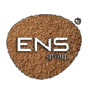 ENS Group