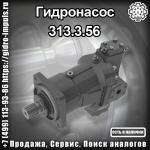  313.3.56
