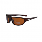 PC Frame Sunglasses