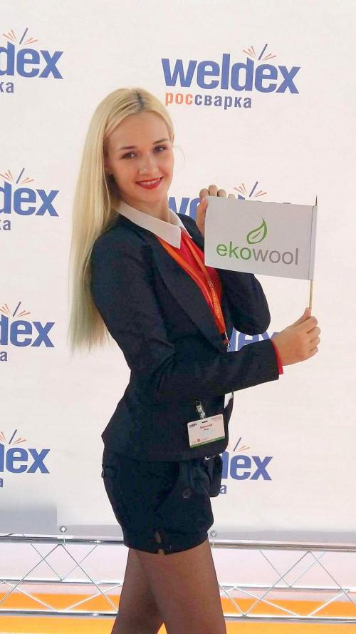 Weldex 2016 Moscow