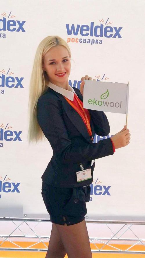 Weldex 2016 Moscow